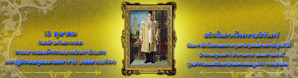 สไลด์โชว์2