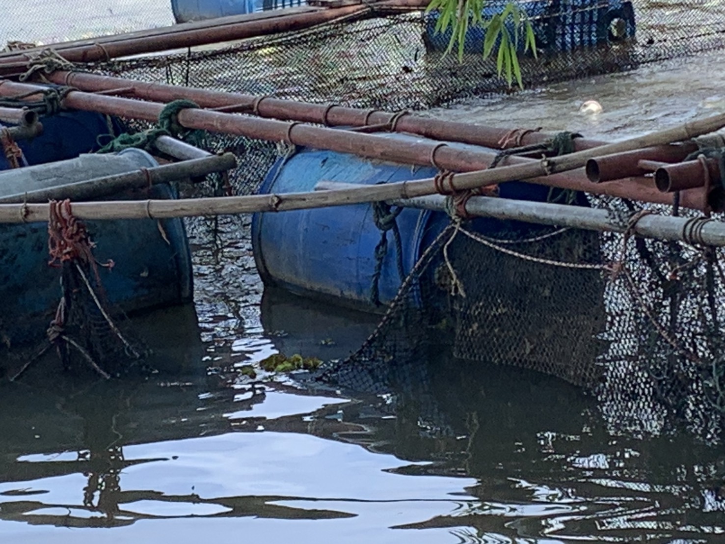 ประมงอำเภอเขื่องใน ตรวจสอบความเสียหายของเกษตรกรผู้ประสบภัยพิบัติด้านประมง ปี 68..คลิก