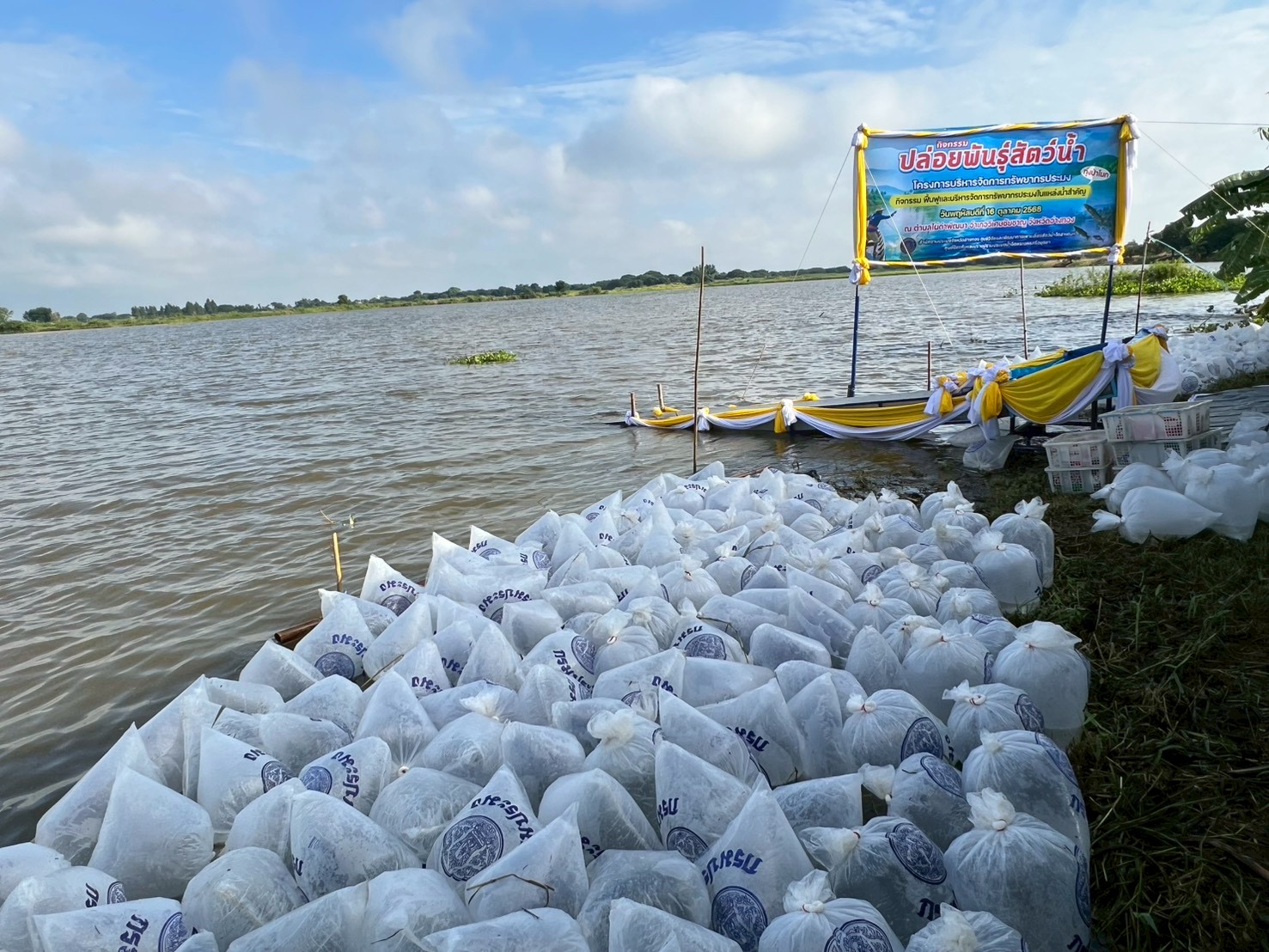 ปล่อยพันธุ์สัตว์น้ำ โครงการบริหารจัดการทรัพยากรประมง กิจกรรมฟื้นฟูและบริหารจัดการทรัพยากรประมงในแหล่งน้ำสำคัญ (ทุ่งป่าโมก)  ณ ริมทุ่งนา หมู่ที่ 3 ตำบลไผ่ดำพัฒนา อำเภอวิเศษชัยชาญ จังหวัดอ่างทอง