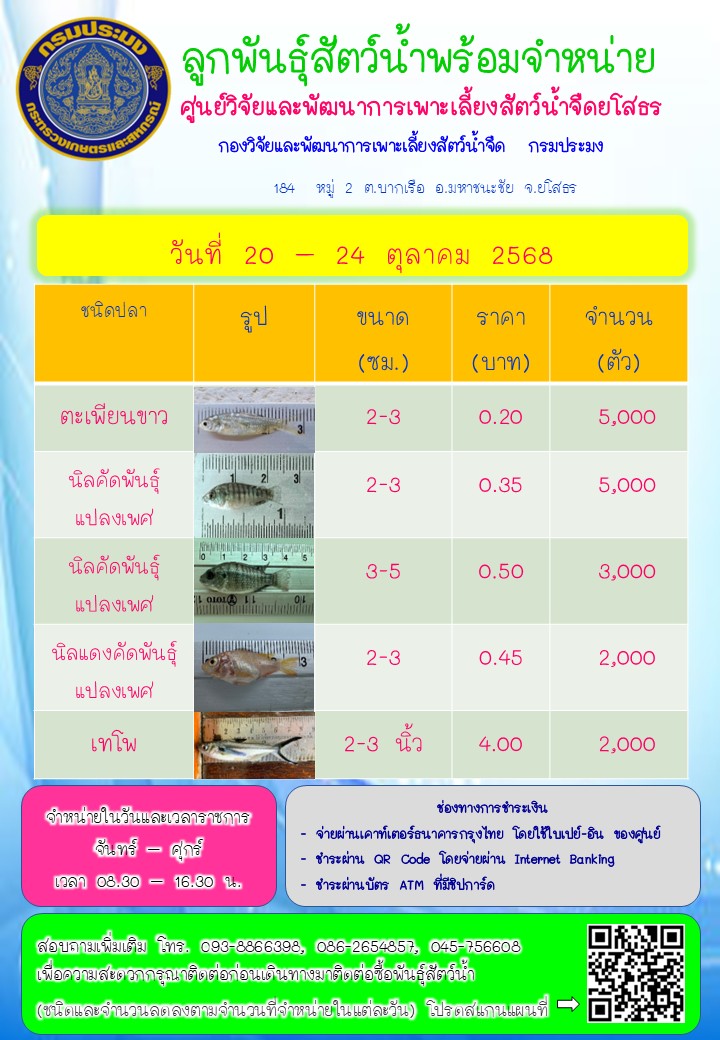 ลูกพันธุ์สัตว์น้ำพร้อมจำหน่าย 20 - 24 ต.ค. 2568..คลิก