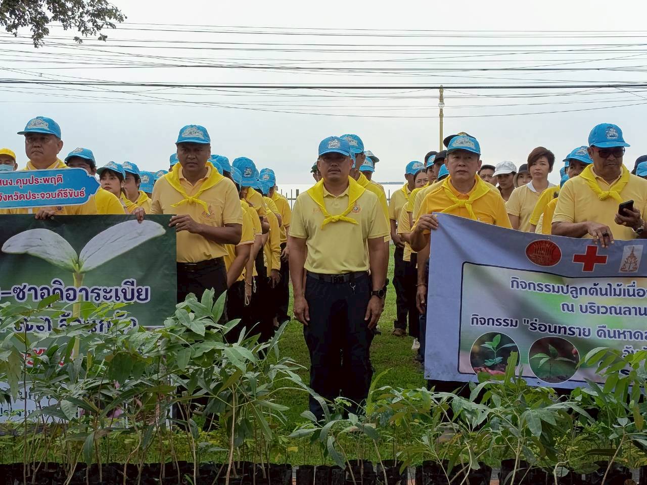 กิจกรรมจิตอาสาโครงการพฤกษามิตรภาพ ไทย-ซาอุดิอาระเบีย เฉลิมพระเกียรติ ๗๒ พรรษา๗๓ ล้านกล้า