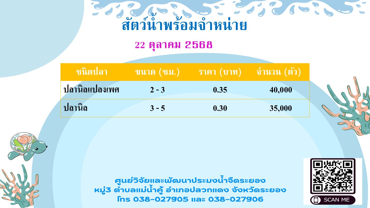 สัตว์น้ำพร้อมจำหน่าย วันที่ 22 ตุลาคม 2568