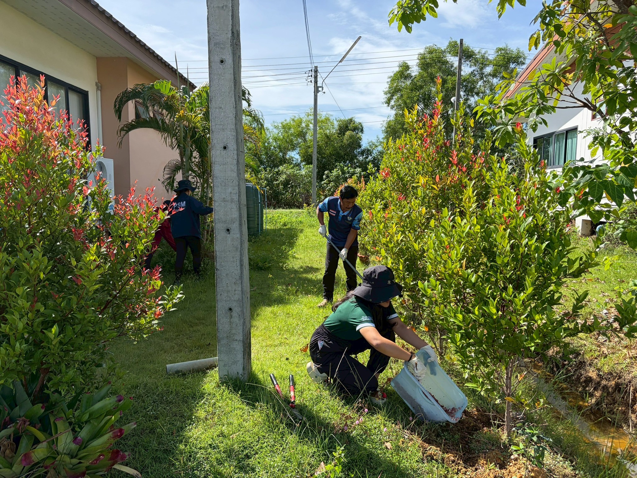 กิจกรรมวันรักต้นไม้ประจำปีของชาติ พ.ศ. 2568..คลิก