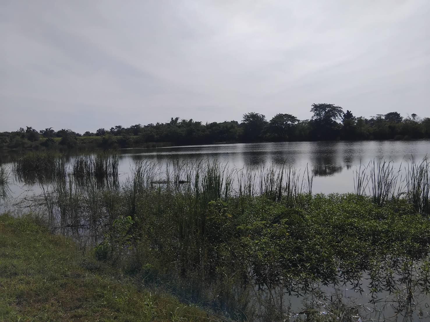 ตรวจติดตามแหล่งน้ำโครงการบริหารจัดการทรัพยากรประมง กิจกรรมบริหารจัดการทรัพยากรประมงน้ำจืด การเพิ่มผลผลิตสัตว์น้ำในแหล่งน้ำชุมชน เพื่อเพิ่มรายได้ และลดค่าครองชีพของประชาชน ปีงบประมาณ 2568..คลิก