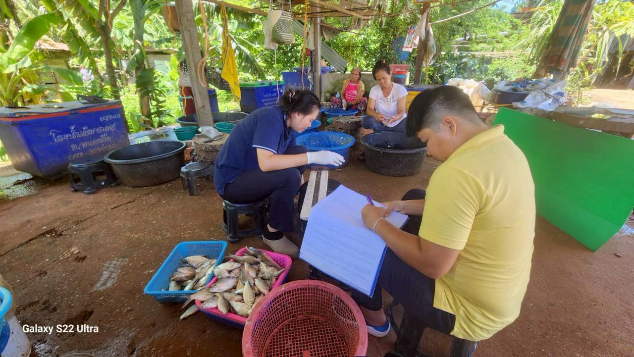 การปฏิบัติงานโครงการประเมินสภาวะทรัพยากรสัตว์น้ำในแหล่งน้ำจืดด้วยค่าผลผลิตสูงสุดที่ยั่งยืน (MSY) ประจำเดือนกรกฎาคม 2568..คลิก