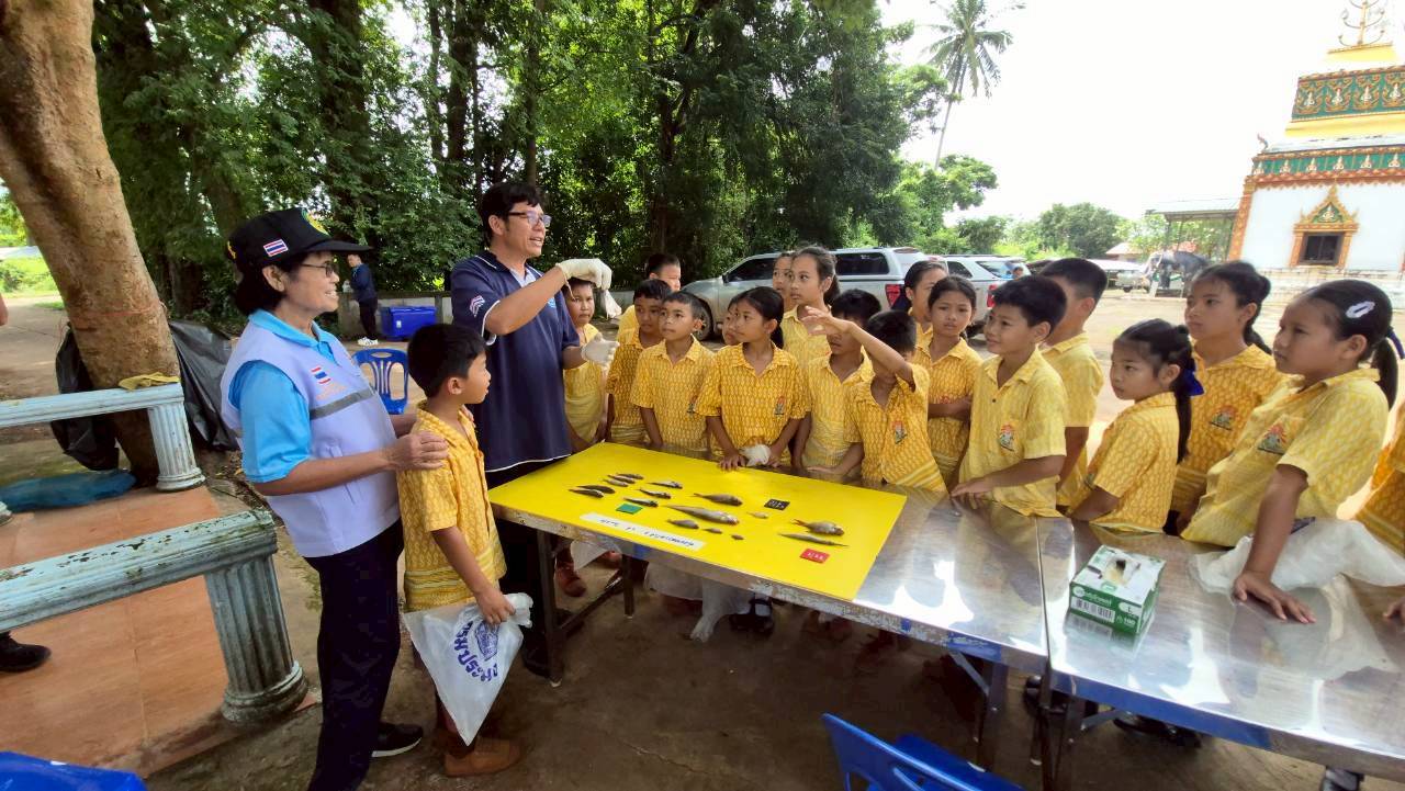 กิจกรรมภายใต้โครงการบริหารจัดการระบบนิเวศปลาหน้าวัด 2568 โดยกิจกรรมให้ความรู้ในการจำแนกชนิดปลาแก่เยาวชน การเพาะพันธุ์ปลาด้วยชุดเพาะฟักเคลื่อนที่ ให้กับนักเรียนบ้านชุมช้าง