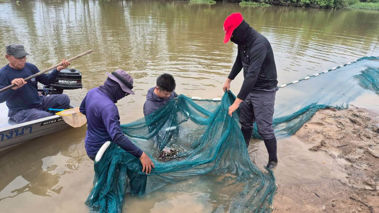 การปฏิบัติงานโครงการพัฒนาลุ่มน้ำห้วยหลวงตอนล่าง จังหวัดหนองคาย แผนการพัฒนาการประมง และระบบนิเวศทางน้ำ กิจกรรมติดตามตรวจสอบด้านนิเวศวิทยาทางน้ำและทรัพยากรประมง ครั้งที่ 2 ประจำปีงบประมาณ 2568