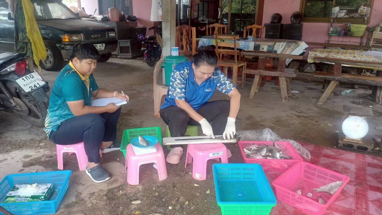 การปฏิบัติงานโครงการประเมินสภาวะทรัพยากรสัตว์น้ำในแหล่งน้ำจืดด้วยค่าผลผลิตสูงสุดที่ยั่งยืน (MSY) ประจำเดือนสิงหาคม 2568 ในพื้นที่อ่างเก็บน้ำเขื่อนอุบลรัตน์ จังหวัดขอนแก่นและจังหวัดหนองบัวลำภู