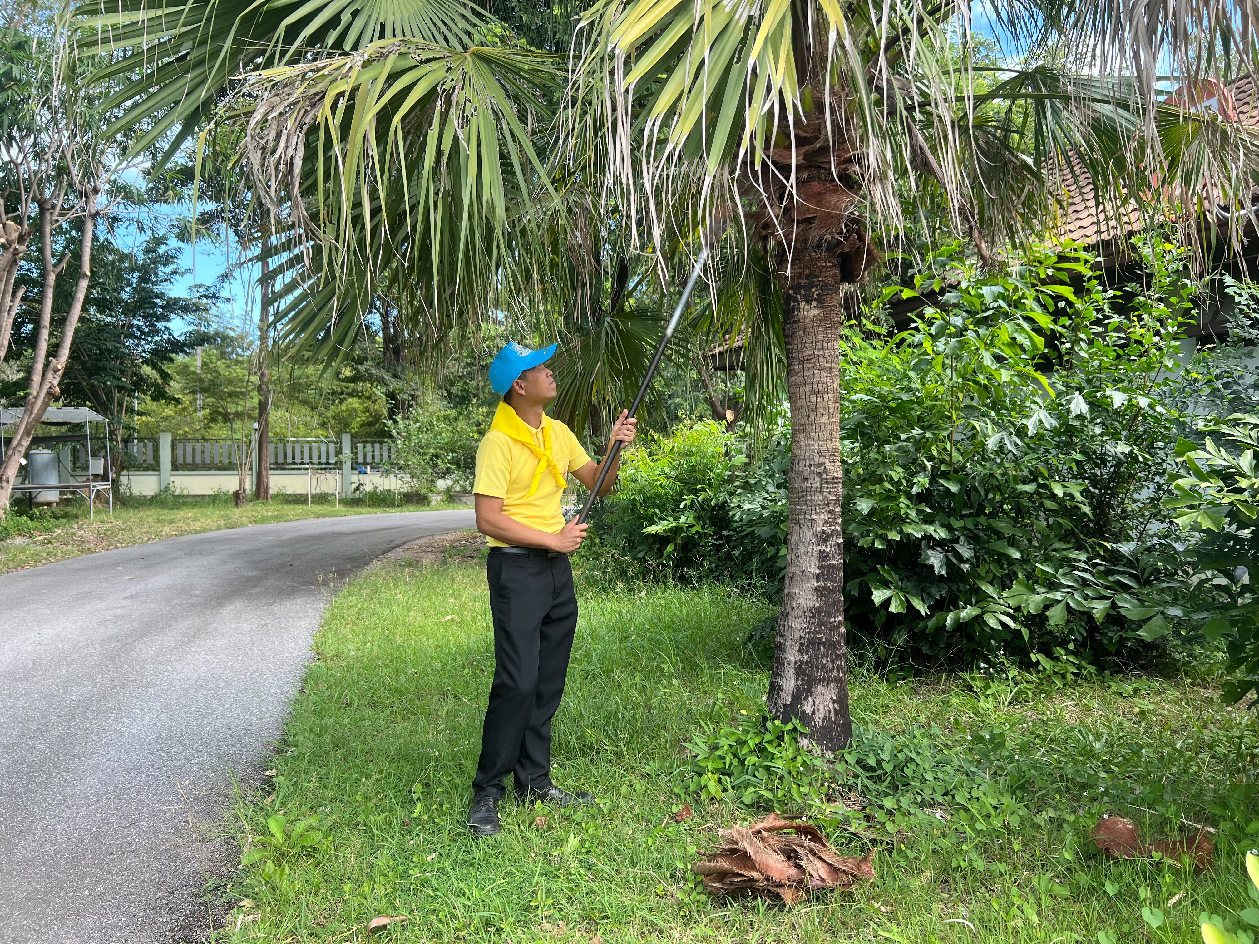 ร่วมกิจกรรมจิตอาสาพัฒนาศูนย์ราชการจังหวัดหนองบัวลำภู เนื่องในวันคล้ายวันสวรรคตพระบาทสมเด็จพระจุลจอมเกล้าเจ้าอยู่หัว 23 ตุลาคม 2568..คลิก