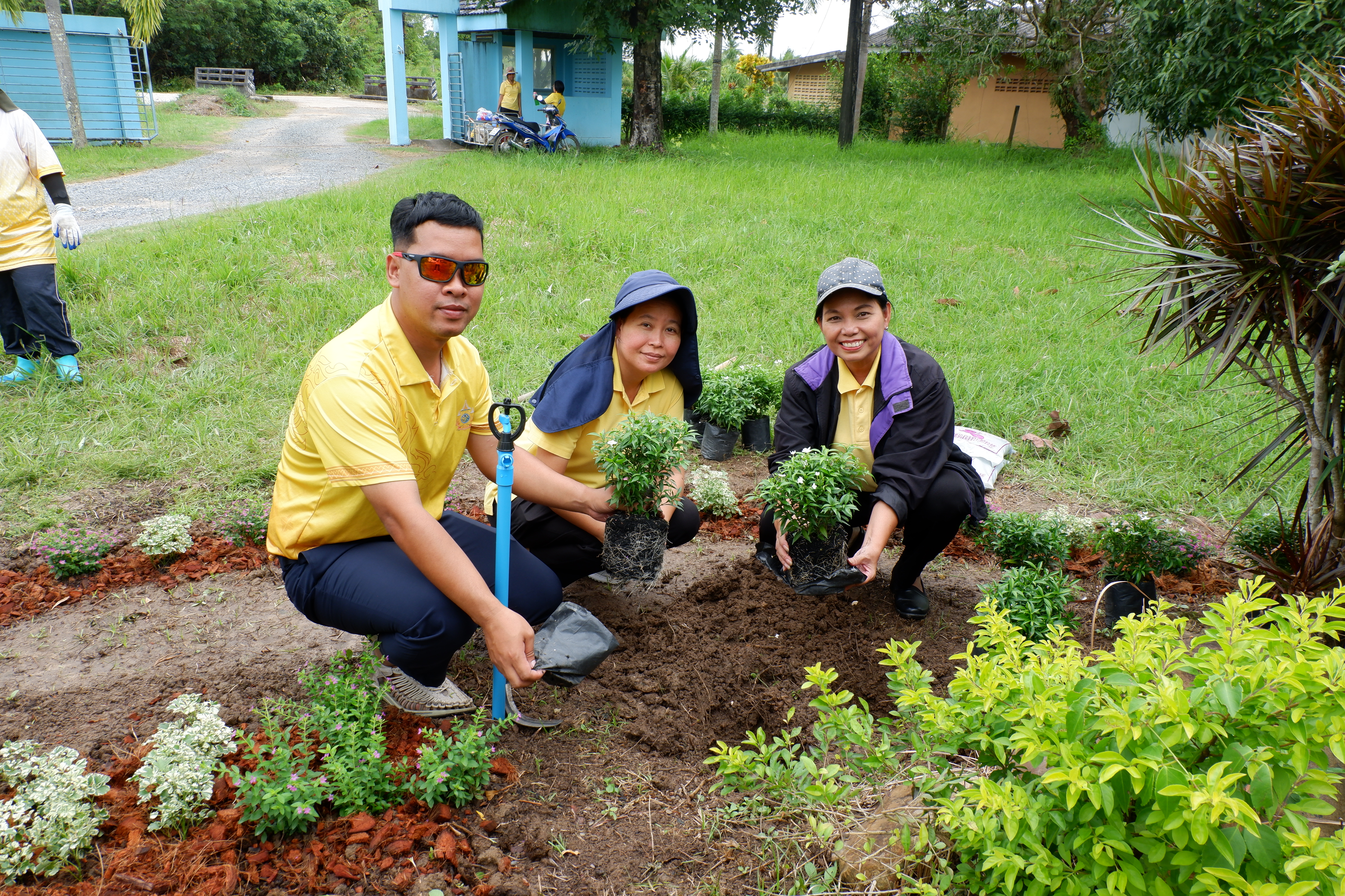 กิจกรรมวันรักต้นไม้ประจำปีของชาติ พ.ศ. ๒๕๖๘