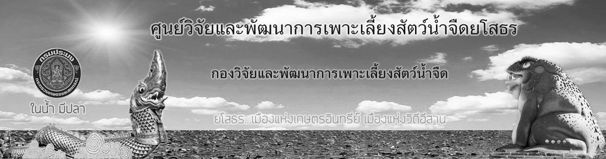 แบรนเนอร์ ศพจ.ยโสธร- (ขาว-ตำ)..คลิก