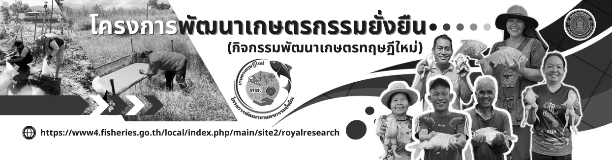 โครงการทฤษฎีใหม่