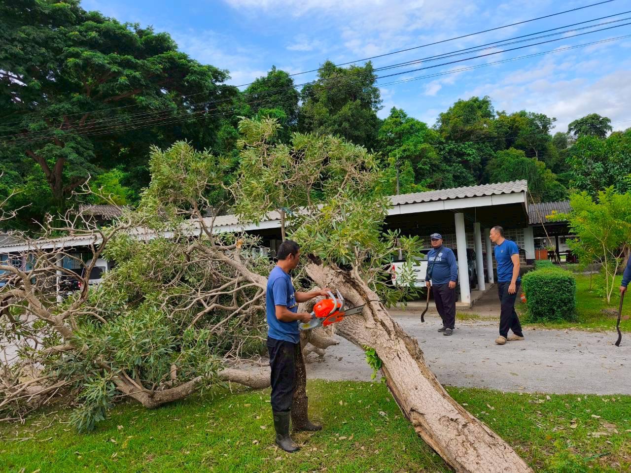 กิจกรรมปรับปรุงภูมิทัศน์บริเวณอาคารสำนักงาน..คลิก