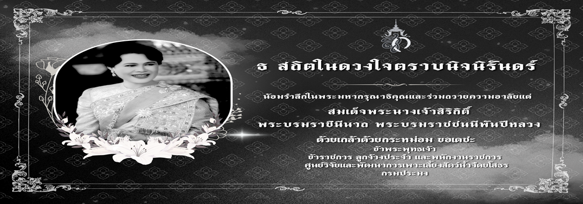 ธ สถิตในดวงใจตราบนิจนิรันดร์..คลิก