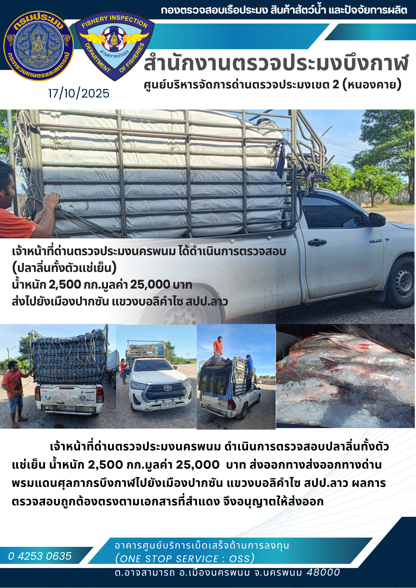 ข่าวกิจกรรมการดำเนินงาน : วันที่ 17 ตุลาคม 2568 เจ้าหน้าที่ด่านตรวจประมงนครพนม ได้ดำเนินการตรวจสอบ  (ปลาลิ่นทั้งตัวแช่เย็น)  น้ำหนัก 2,500 กก.มูลค่า 25,000 บาท  ส่งไปยังเมืองปากซัน แขวงบอลิคำไซ สปป.ลาว..คลิก