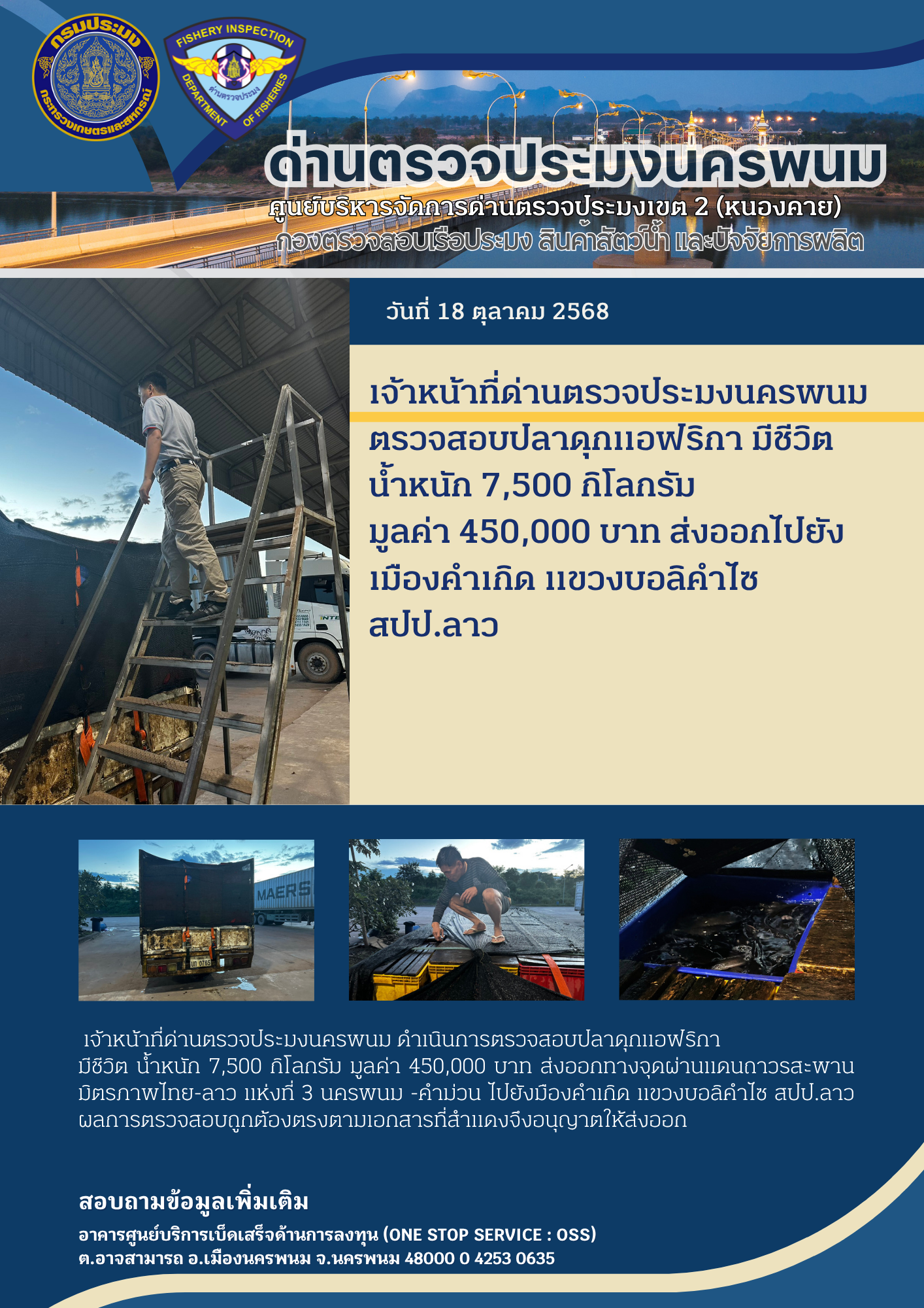 ข่าวกิจกรรมการดำเนินงาน : วันที่ 18 ตุลาคม 2568 เจ้าหน้าที่ด่านตรวจประมงนครพนม ตรวจสอบปลาดุกแอฟริกา มีชีวิต  น้ำหนัก 7,500 กิโลกรัม  มูลค่า 450,000 บาท ส่งออกไปยัง เมืองคำเกิด แขวงบอลิคำไซ สปป.ลาว..คลิก