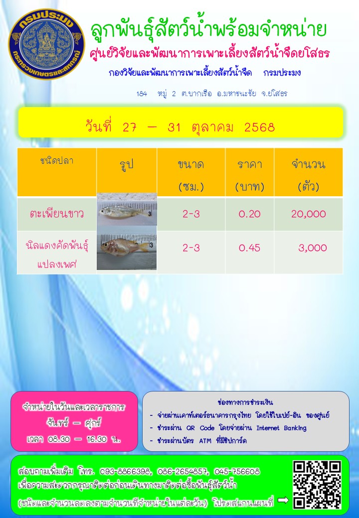 ลูกพันธุ์สัตว์น้ำพร้อมจำหน่าย 27 - 31 ต.ค. 2568..คลิก