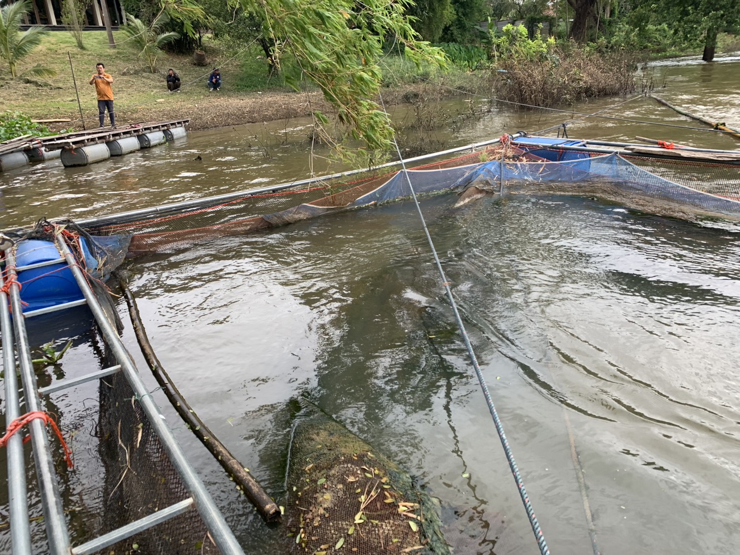 ประมงอำเภอเขื่องใน พร้อมด้วยประมงอำเภอวารินชำราบ ร่วมกับคณะอนุกรรมการลงพื้นตรวจสอบความเสียหายของเกษตรกรที่ประสบอุทกภัย ด้านประมง ปี 2568