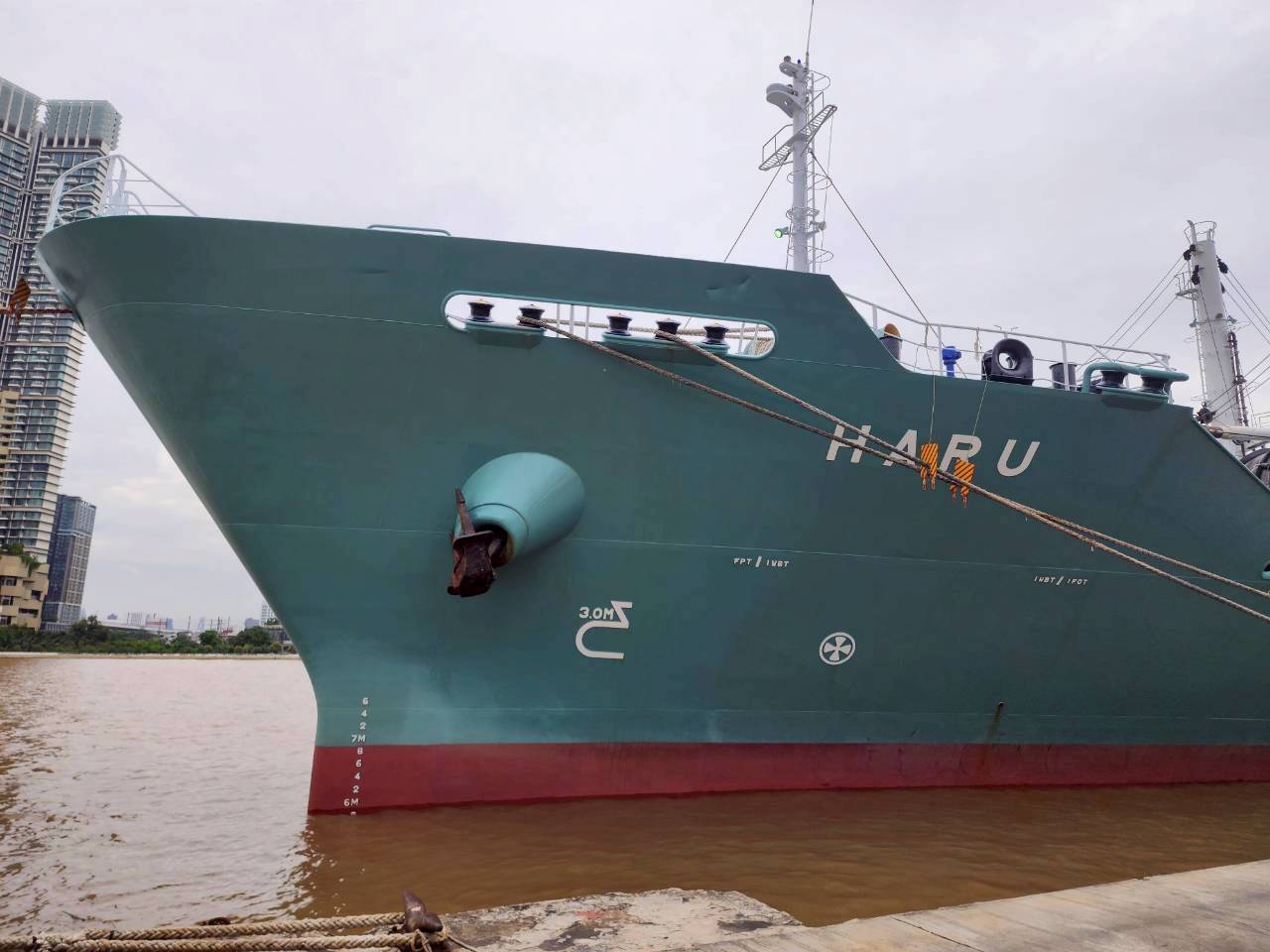 รูป ประกอบบทความ5