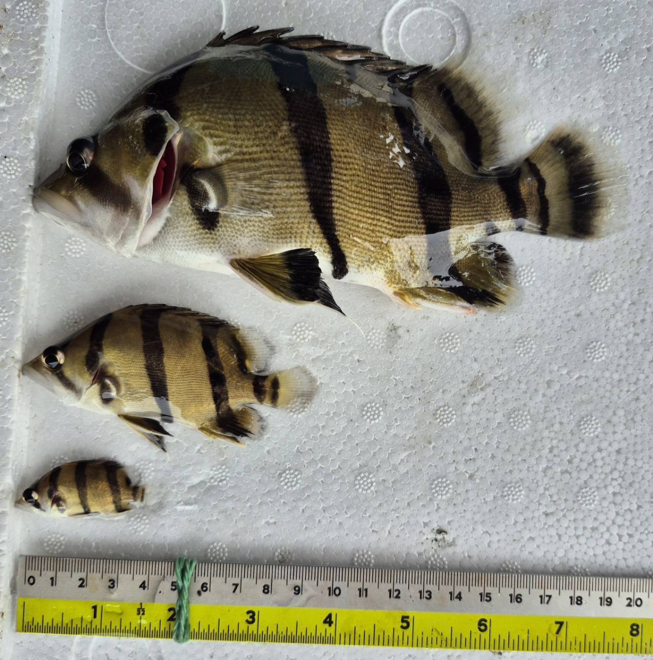 รูป ประกอบบทความ19