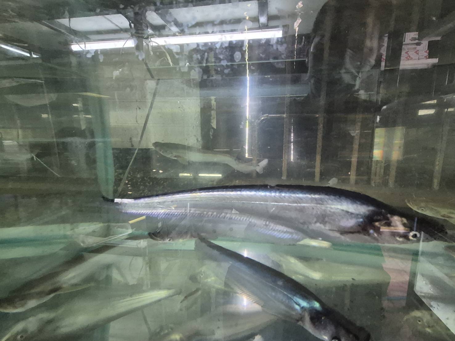 รูป ประกอบบทความ9