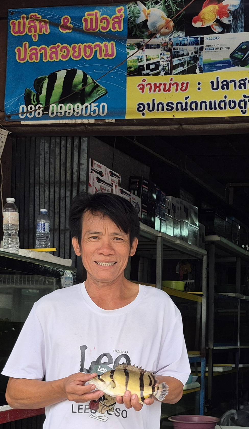 รูป ประกอบบทความ2