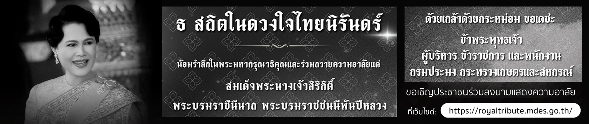 แบนเนอร์ 4