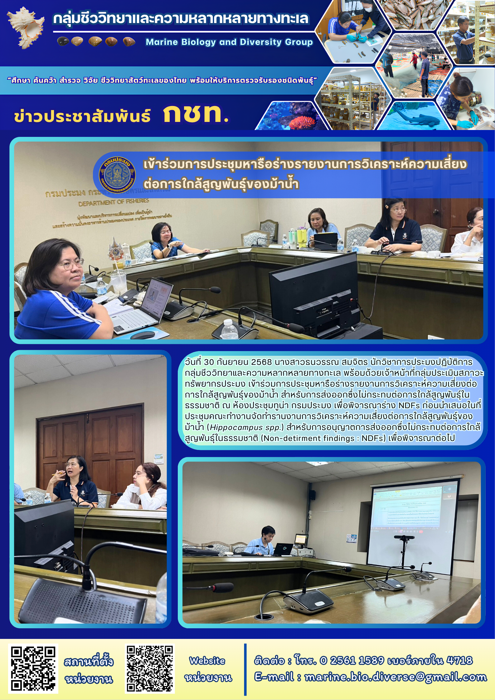 วันที่ 30 กันยายน 2568 นางสาวธนวรรณ สมจิตร นักวิชาการประมงปฏิบัติการกลุ่มชีววิทยาและความหลากหลายทางทะเล พร้อมด้วยเจ้าหน้าที่กลุ่มประเมินสภาวะทรัพยากรประมง เข้าร่วมการประชุมหารือร่างรายงานการวิเคราะห์ความเสียงต่อการใกล้สูญพันธุ์ของม้าน้ำ ฯลฯ