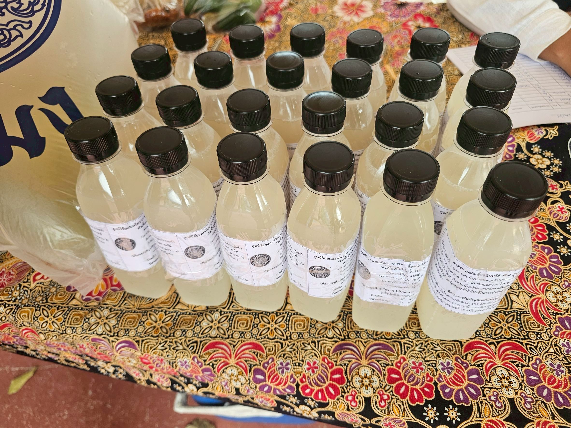 โครงการจัดหน่วยบริการ