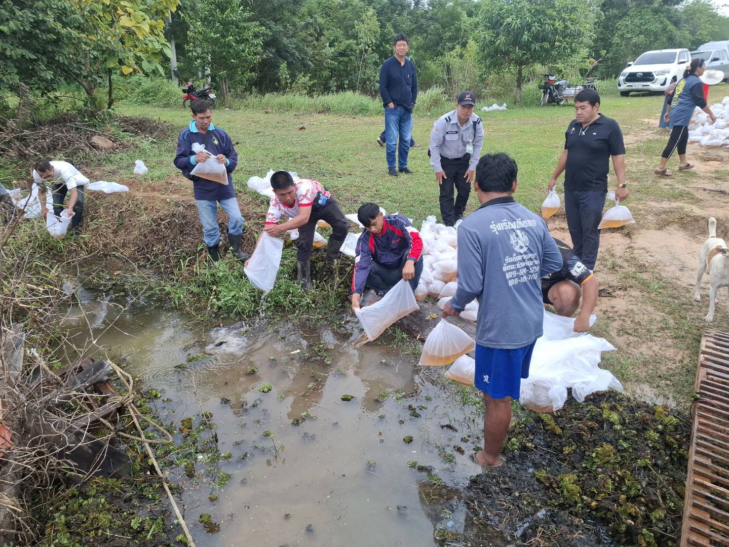 รูป ประกอบบทความ4