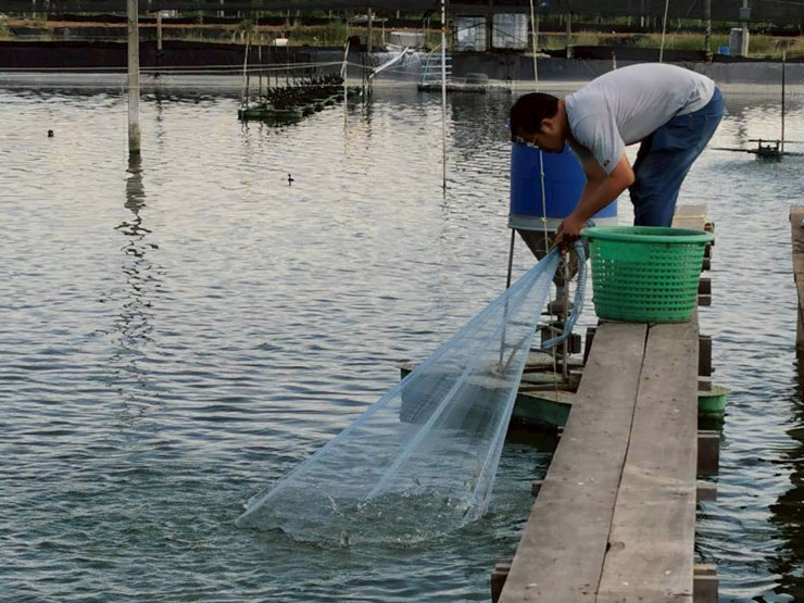 เจ้าหน้าที่ฝ่ายงานตรวจรับรองมาตรฐานฟาร์มสัตว์น้ำ ศพช.ฉะเชิงเทรา เข้าตรวจประเมินฟาร์มเพาะเลี้ยงสัตว์น้ำเพื่อการรับรองมาตรฐานฟาร์มเพาะเลี้ยงสัตว์น้ำที่ดี (GAP)