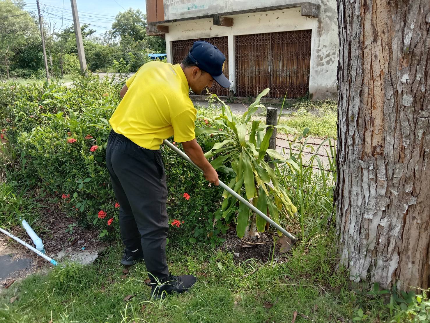 กิจกรรมวันรักต้นไม้ประจำปีของชาติ 21 ตุลาคม พ.ศ. 2568..คลิก