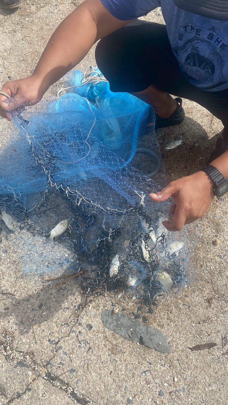 รูป ประกอบบทความ5