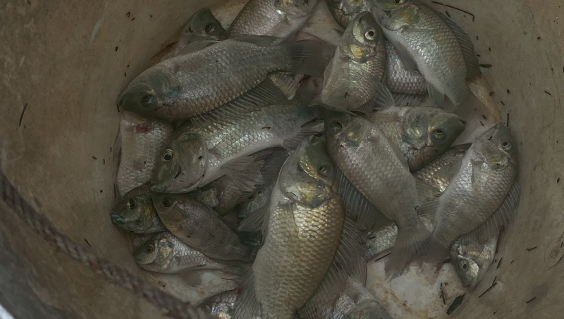 รูป ประกอบบทความ6