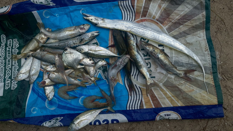 รูป ประกอบบทความ12