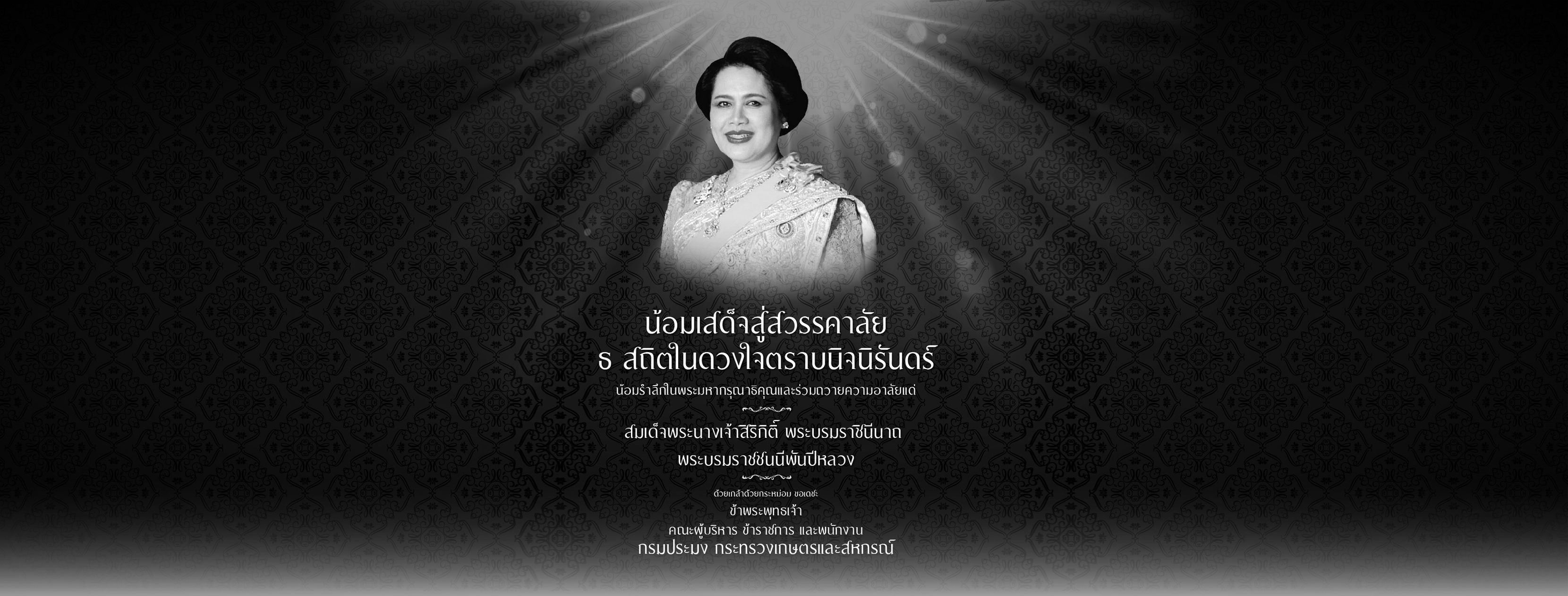 แบนเนอร์4