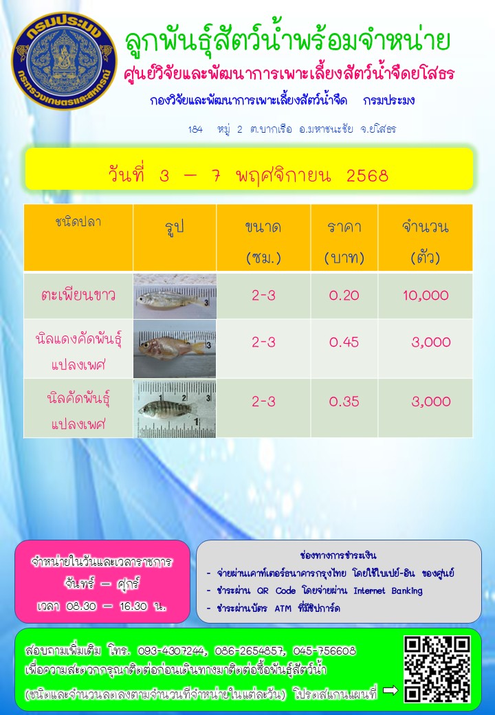 ลูกพันธุ์สัตว์น้ำพร้อมจำหน่าย 3 - 7 พ.ย. 2568