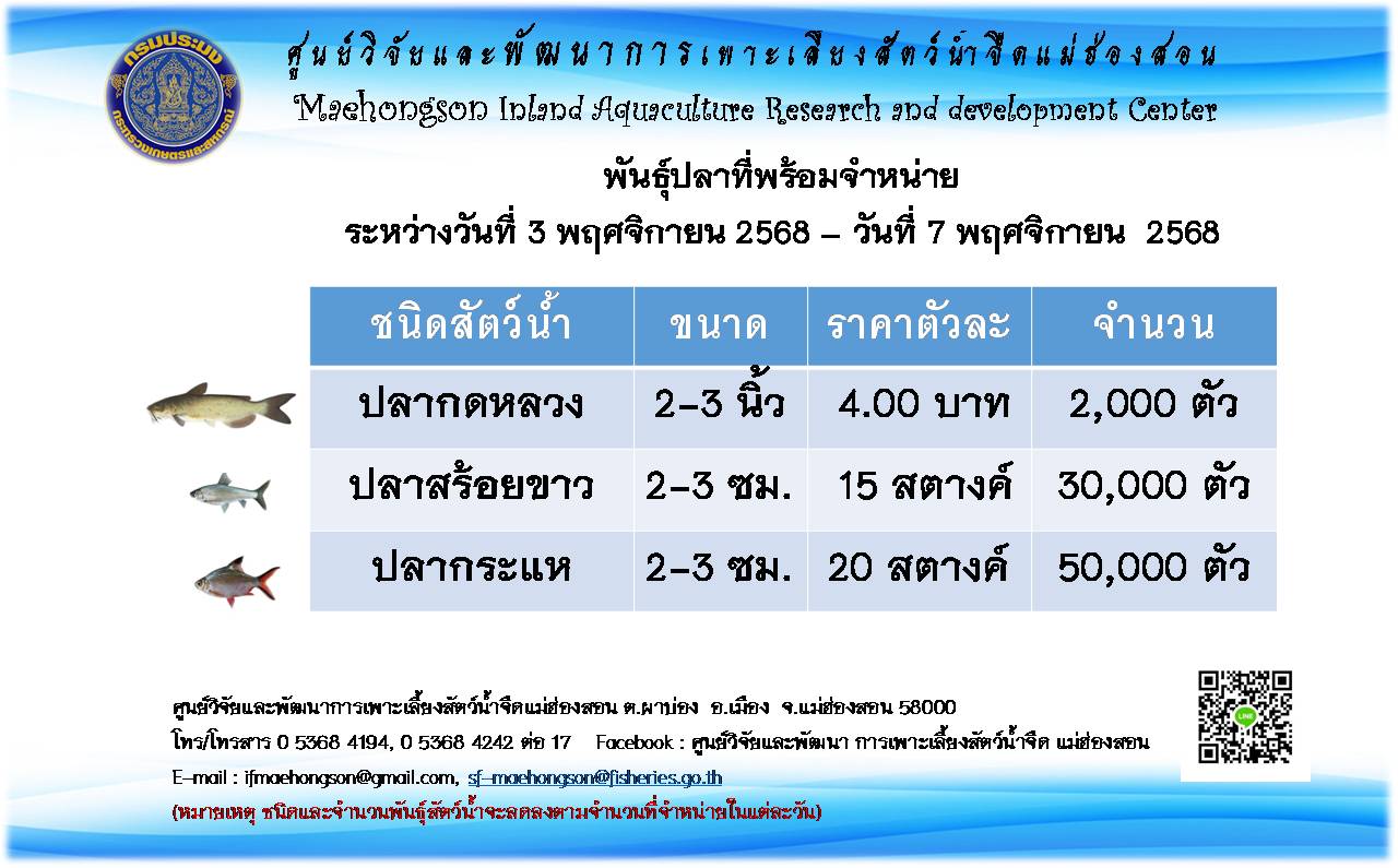 พันธุ์สัตว์น้ำที่พร้อมจำหน่ายระหว่างวันที่ 3 พฤศจิกายน 2568 - วันที่ 7 พฤศจิกายน 2568
