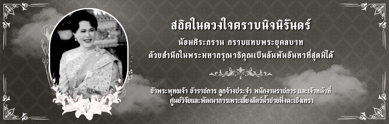 สถิตในดวงใจตราบนิจนิรันดร์