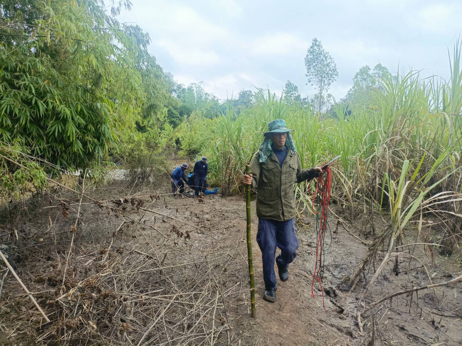 รูป ประกอบบทความ2