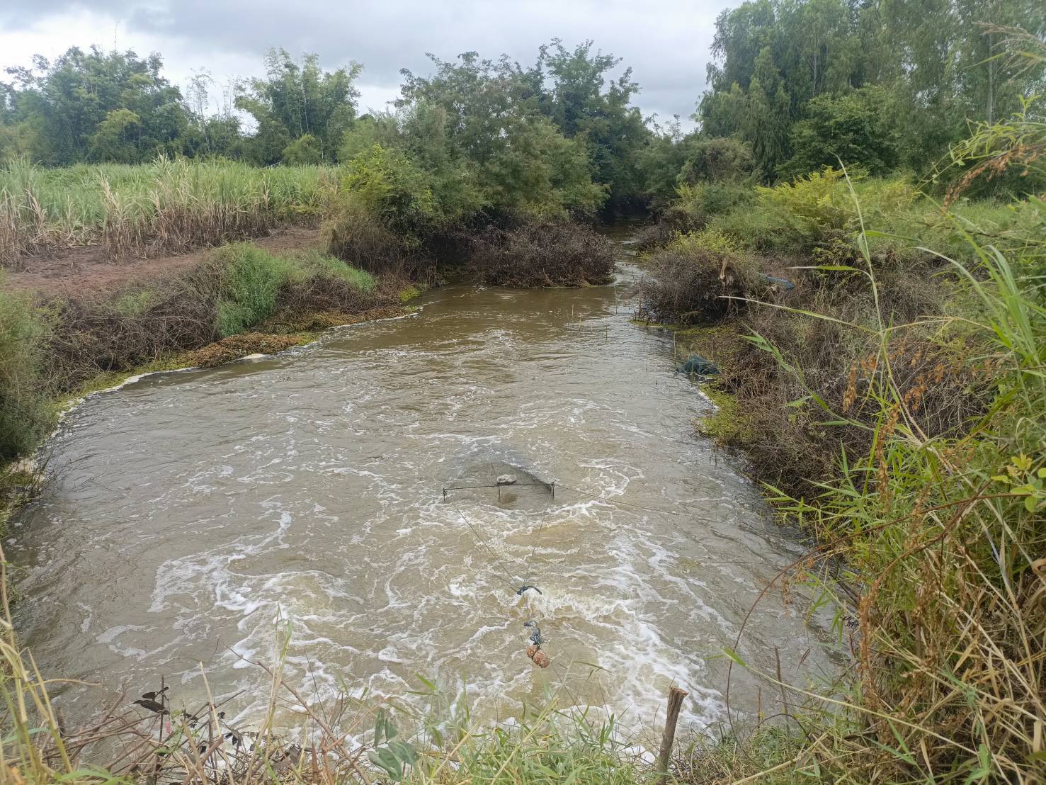 รูป ประกอบบทความ3