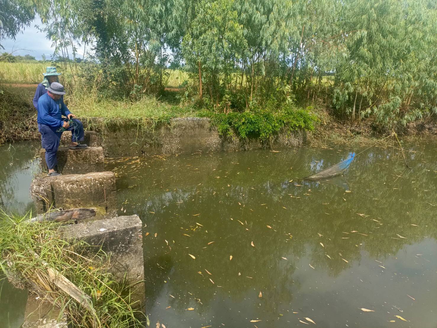 รูป ประกอบบทความ2