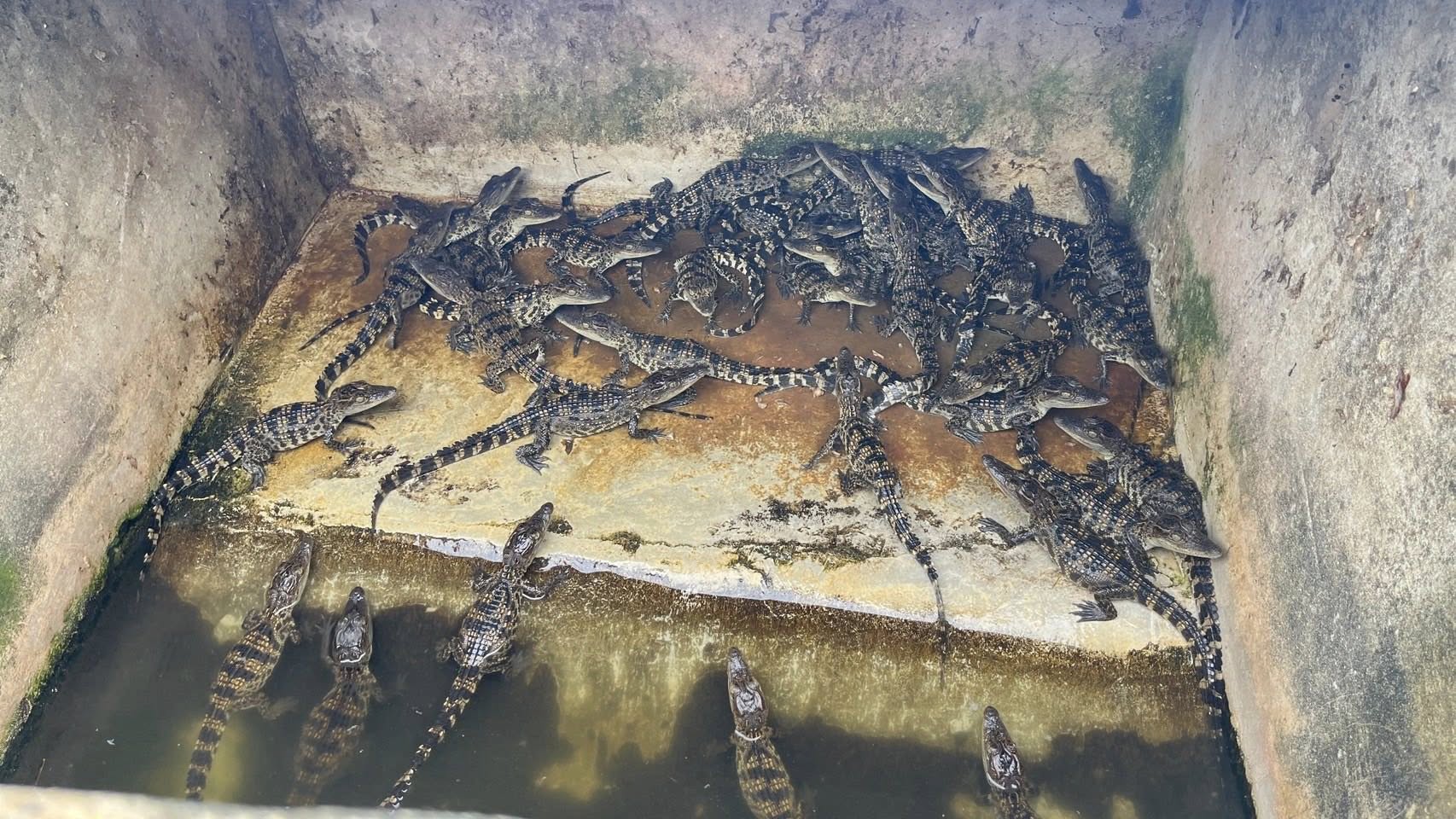 รูป ประกอบบทความ7