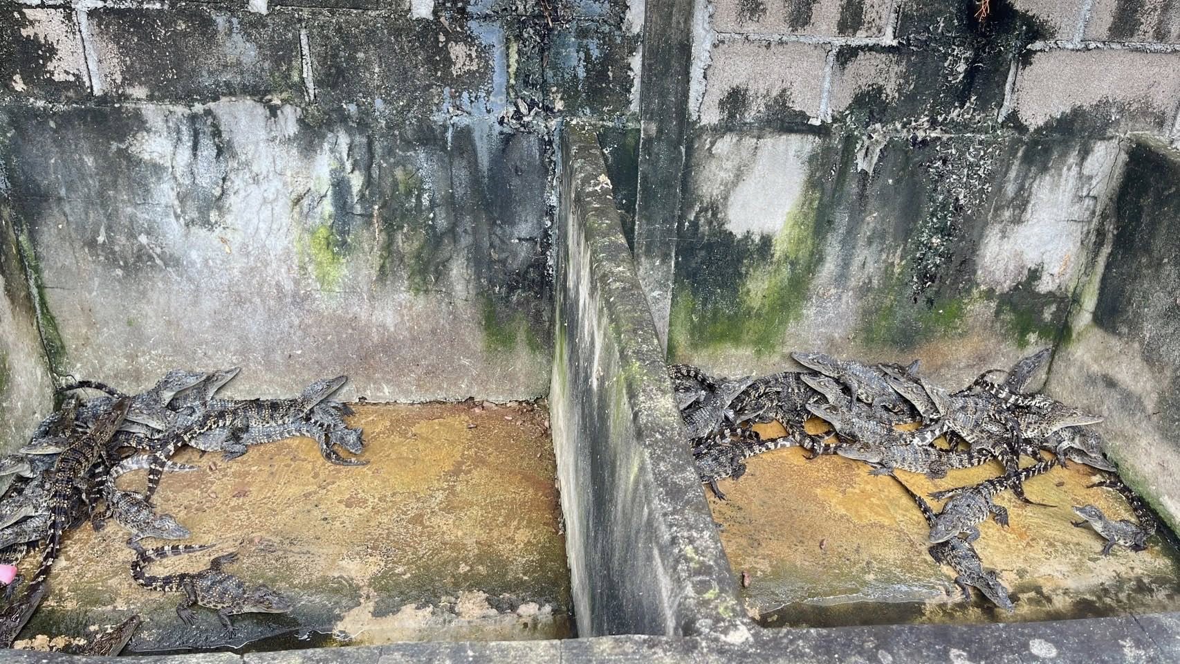 รูป ประกอบบทความ10