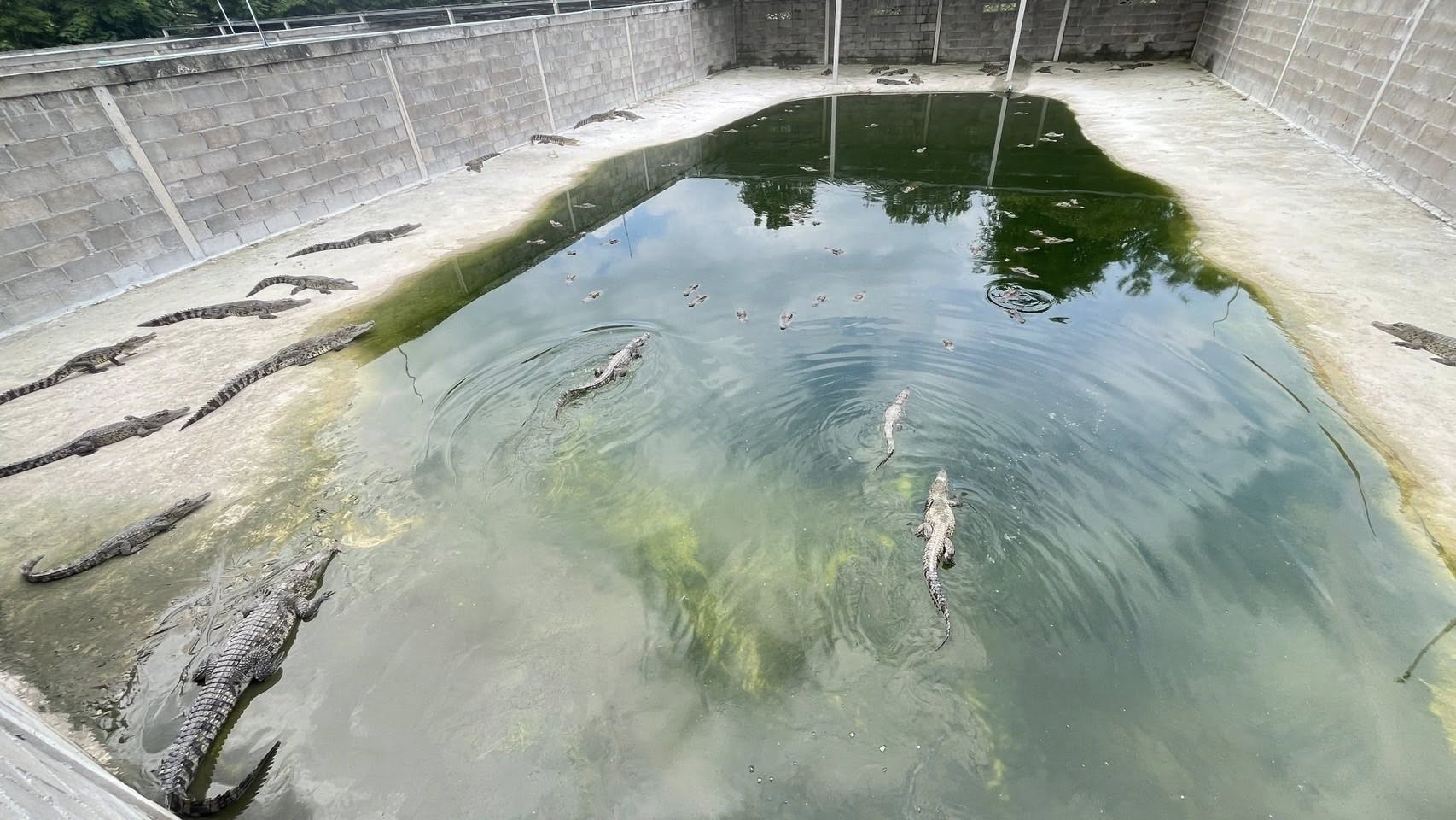 ลงพื้นที่ตรวจสอบฟาร์มเพาะเลี้ย