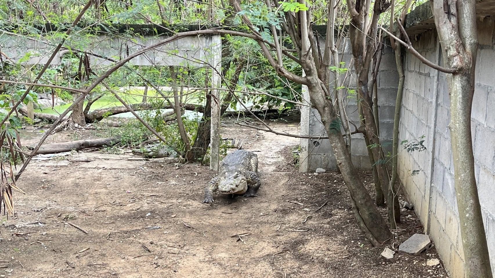 รูป ประกอบบทความ6