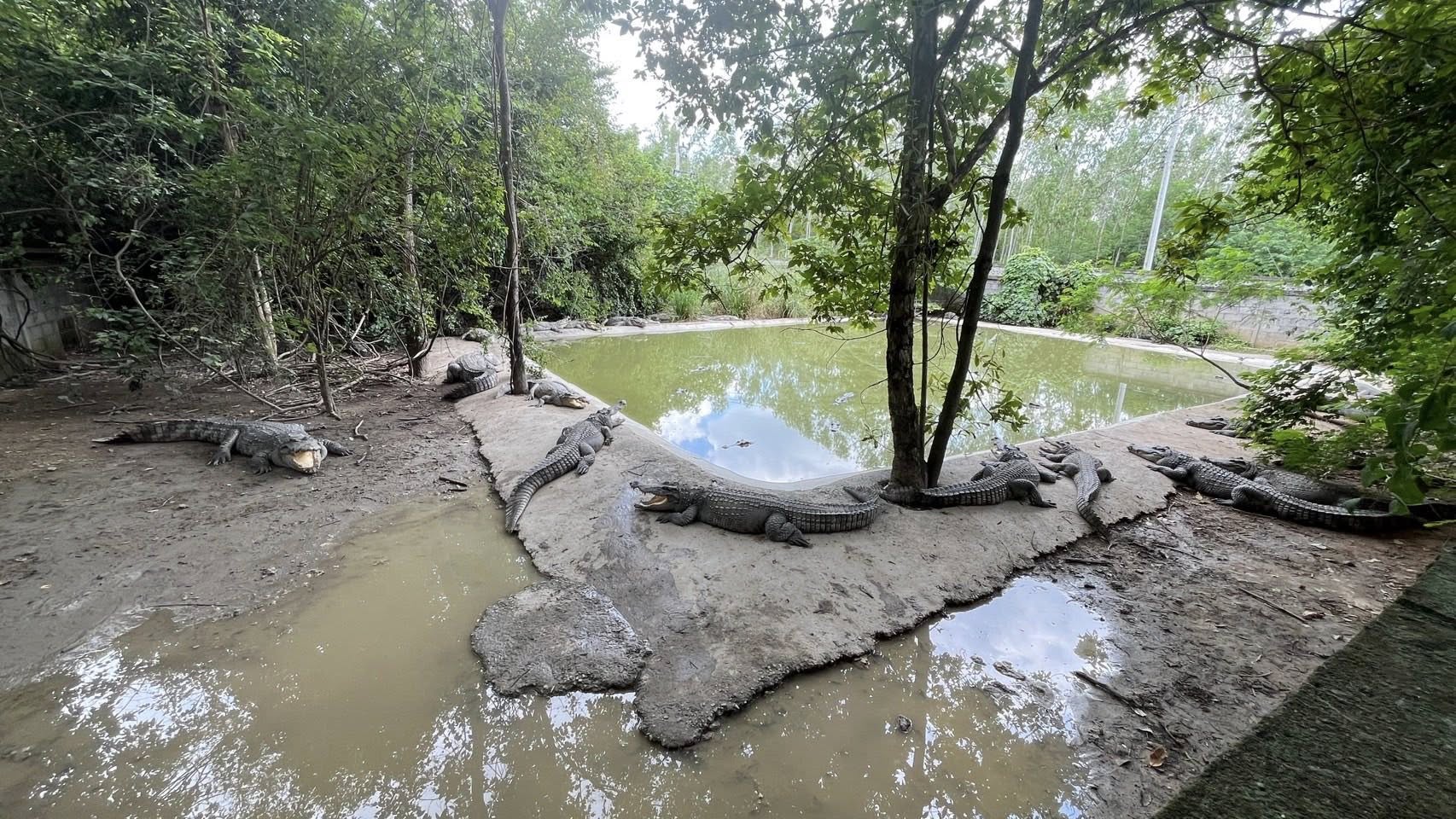 รูป ประกอบบทความ9