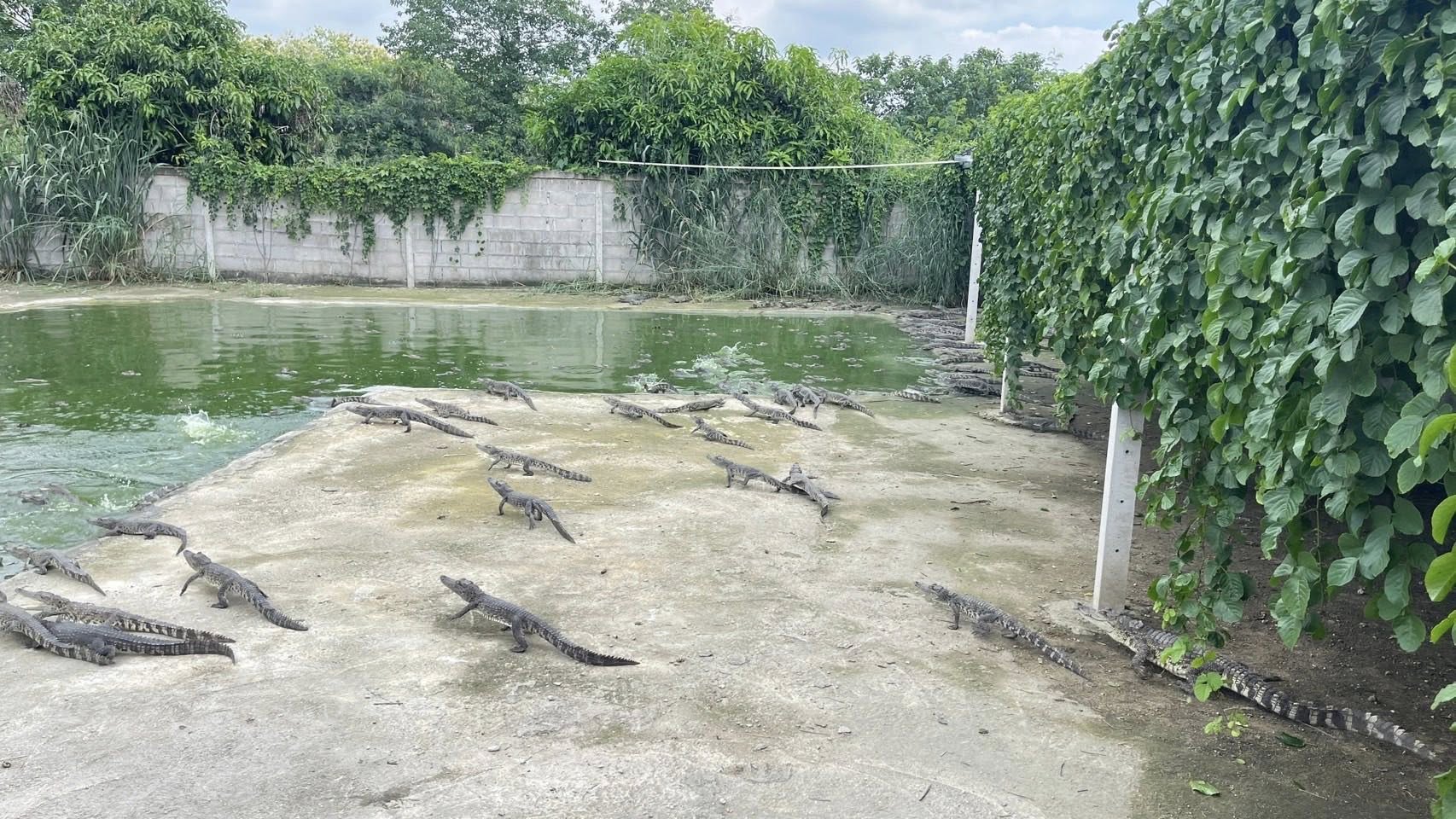 รูป ประกอบบทความ8