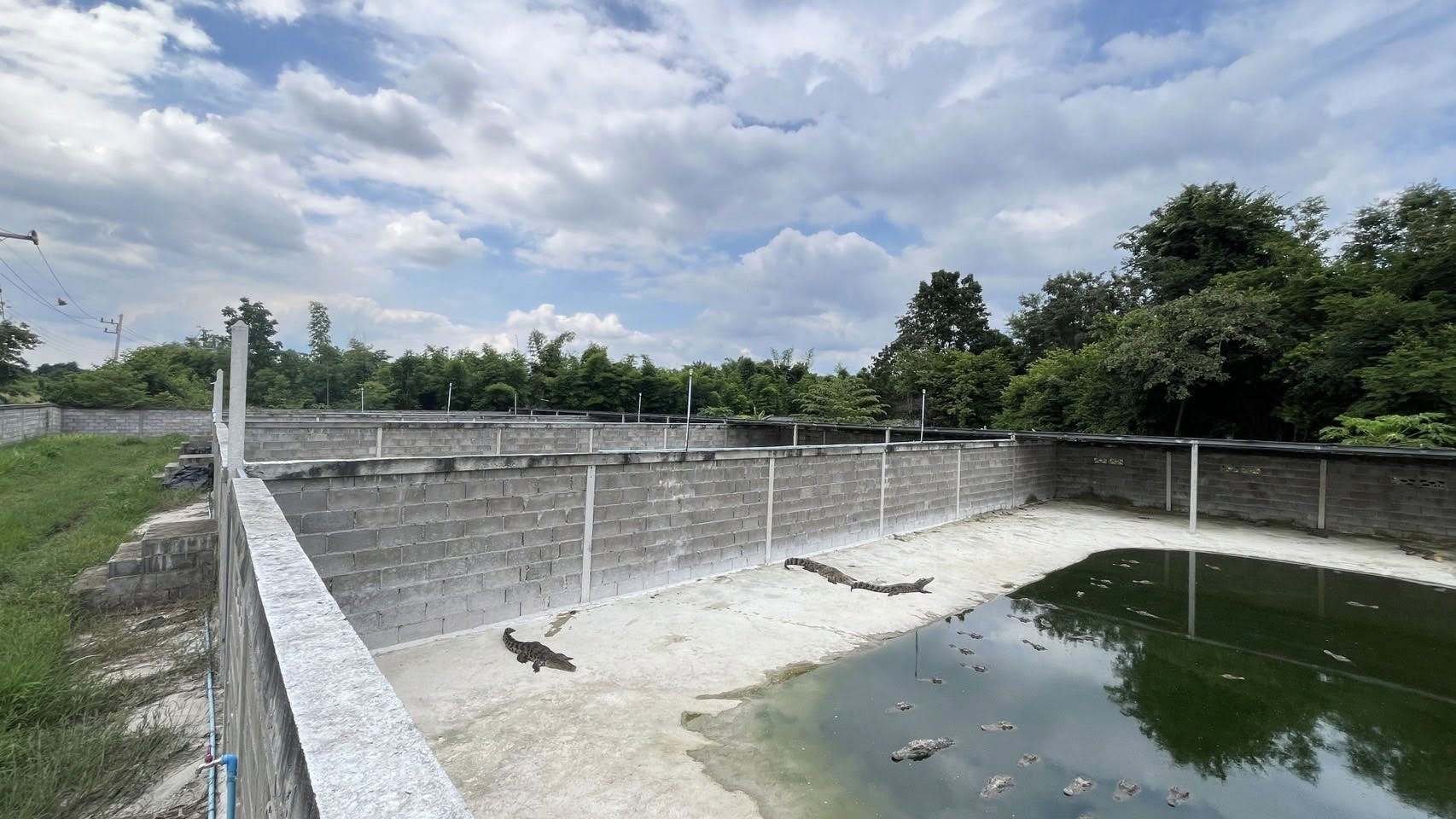 รูป ประกอบบทความ5