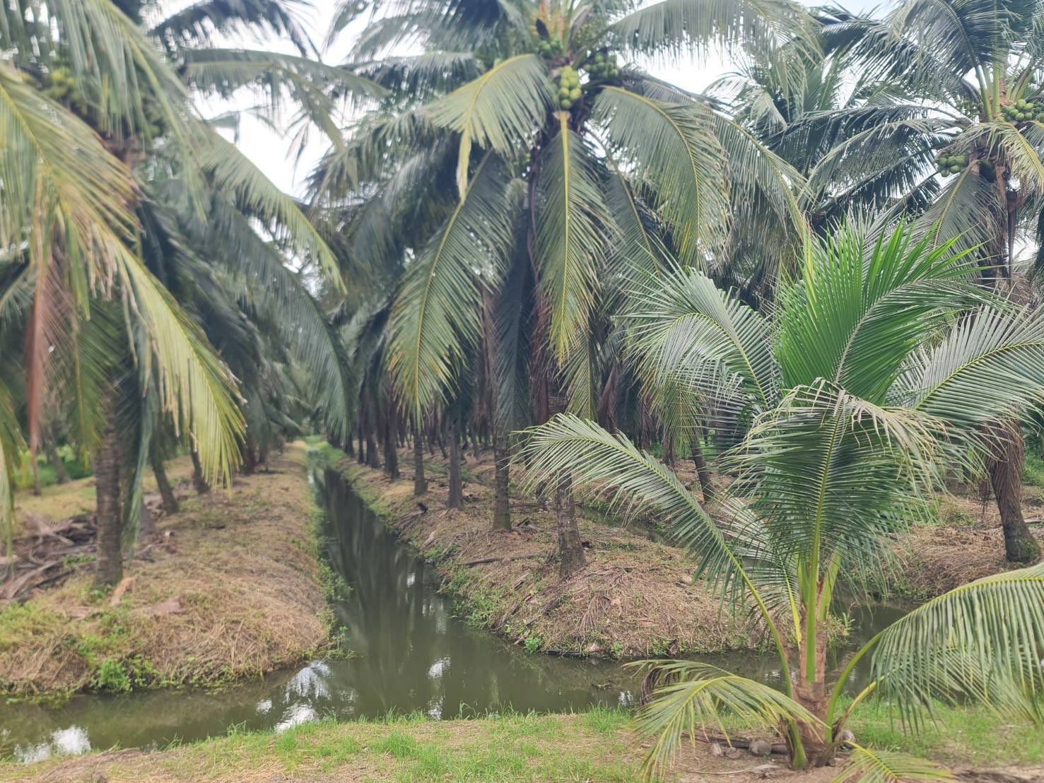 รูป ประกอบบทความ5